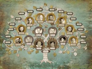 Árvore genealógica antiga.